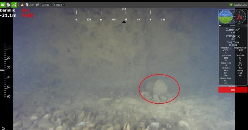 水下智能机器人畅游海外